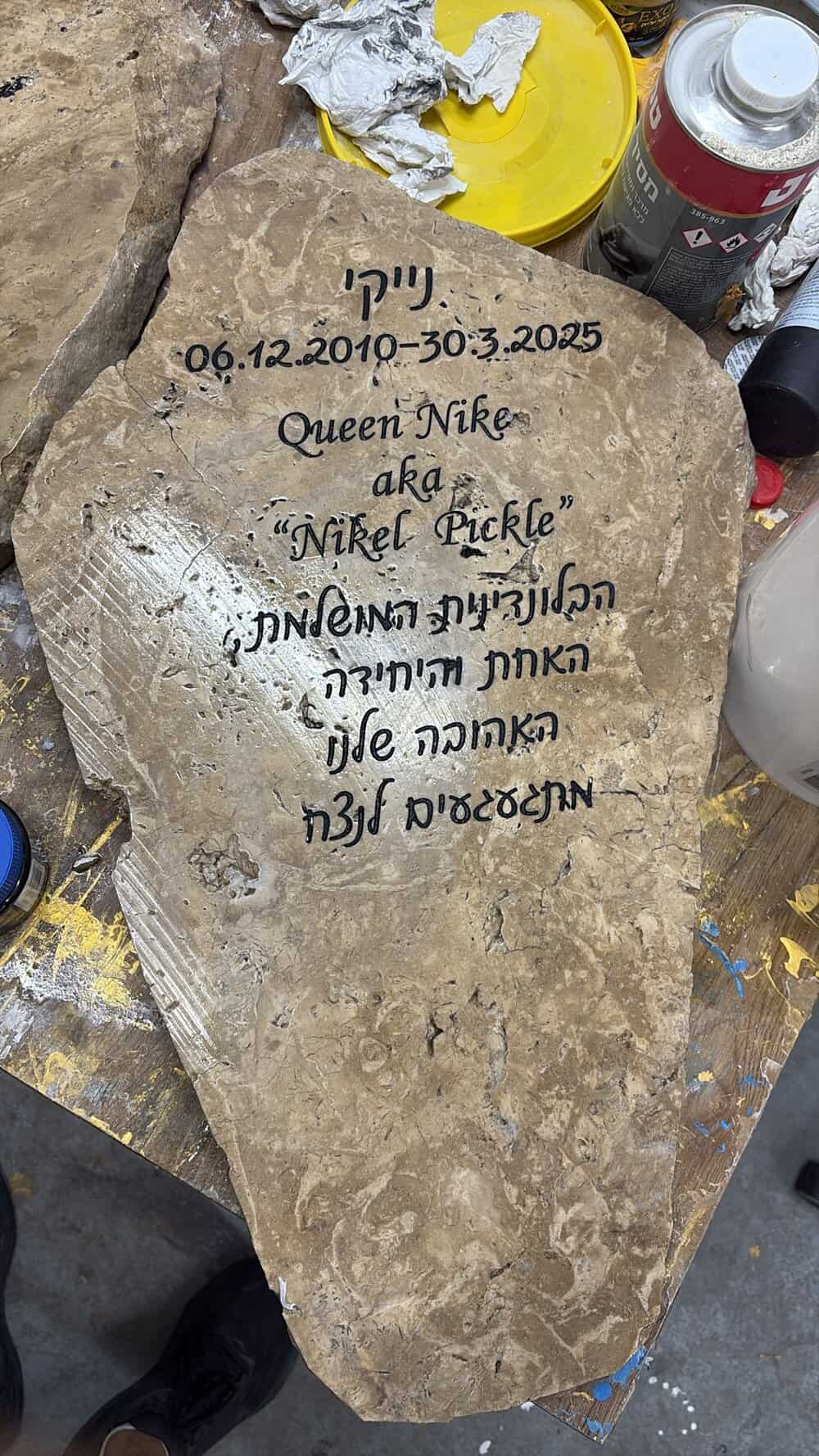 אבן גדולה עם חריטה הנצחה לכלב נייקי