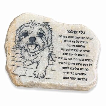 אבן לבעל חיים עם חריטה