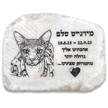 אבן לחתול עם הקדשה