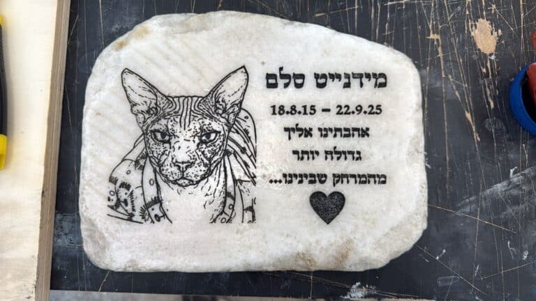 אבן עם חריטה לחתול מידנייט סלם