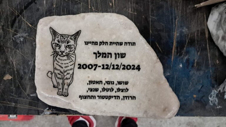 אבן עם חריטה לחתול שון המלך
