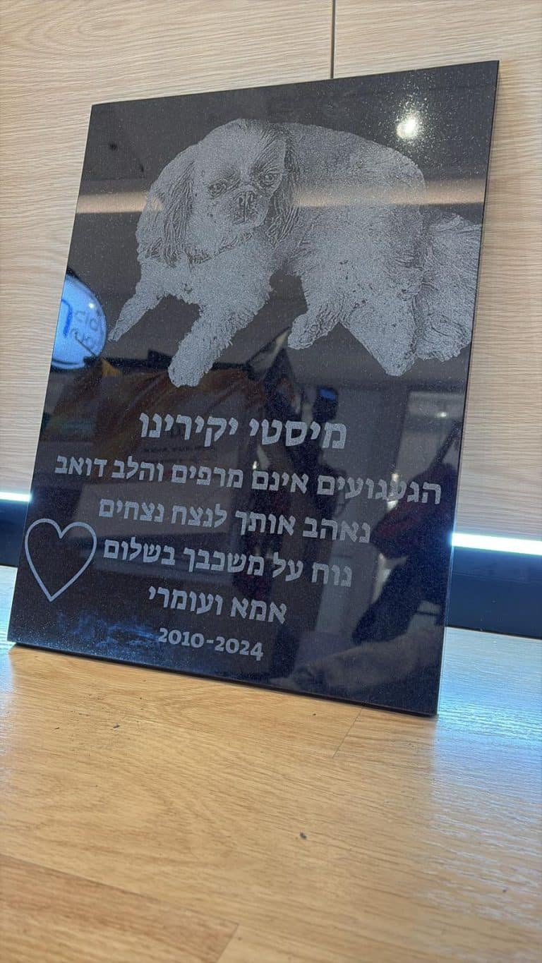 חריטה על מצבה שיש למיסטי יקירינו