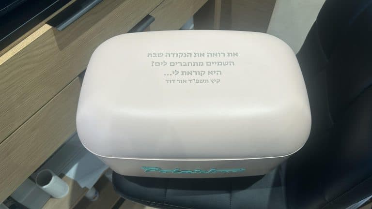 חריטה על צידנית ורודה אור דוד