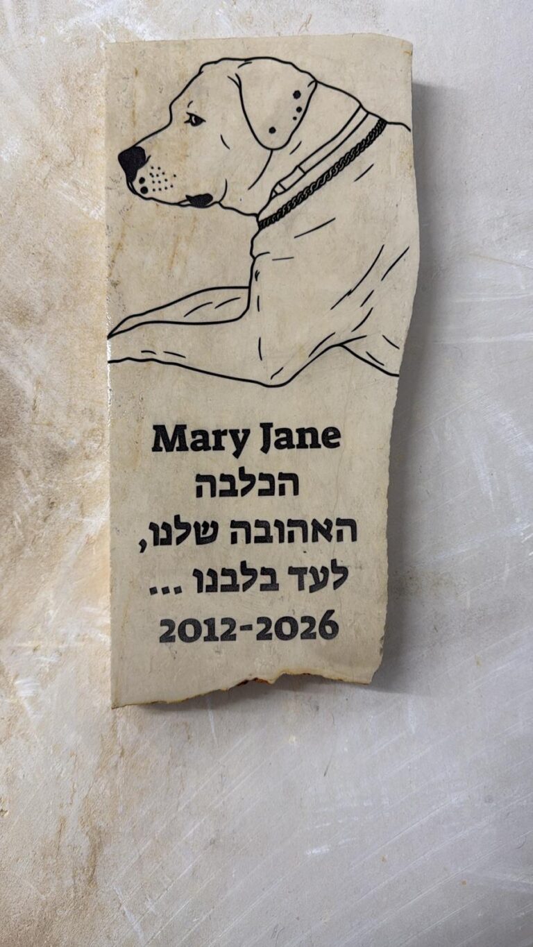 חריטה של אבן להנצחה לכלבה Mary Jane האהובה שלנו על שיש בהיר