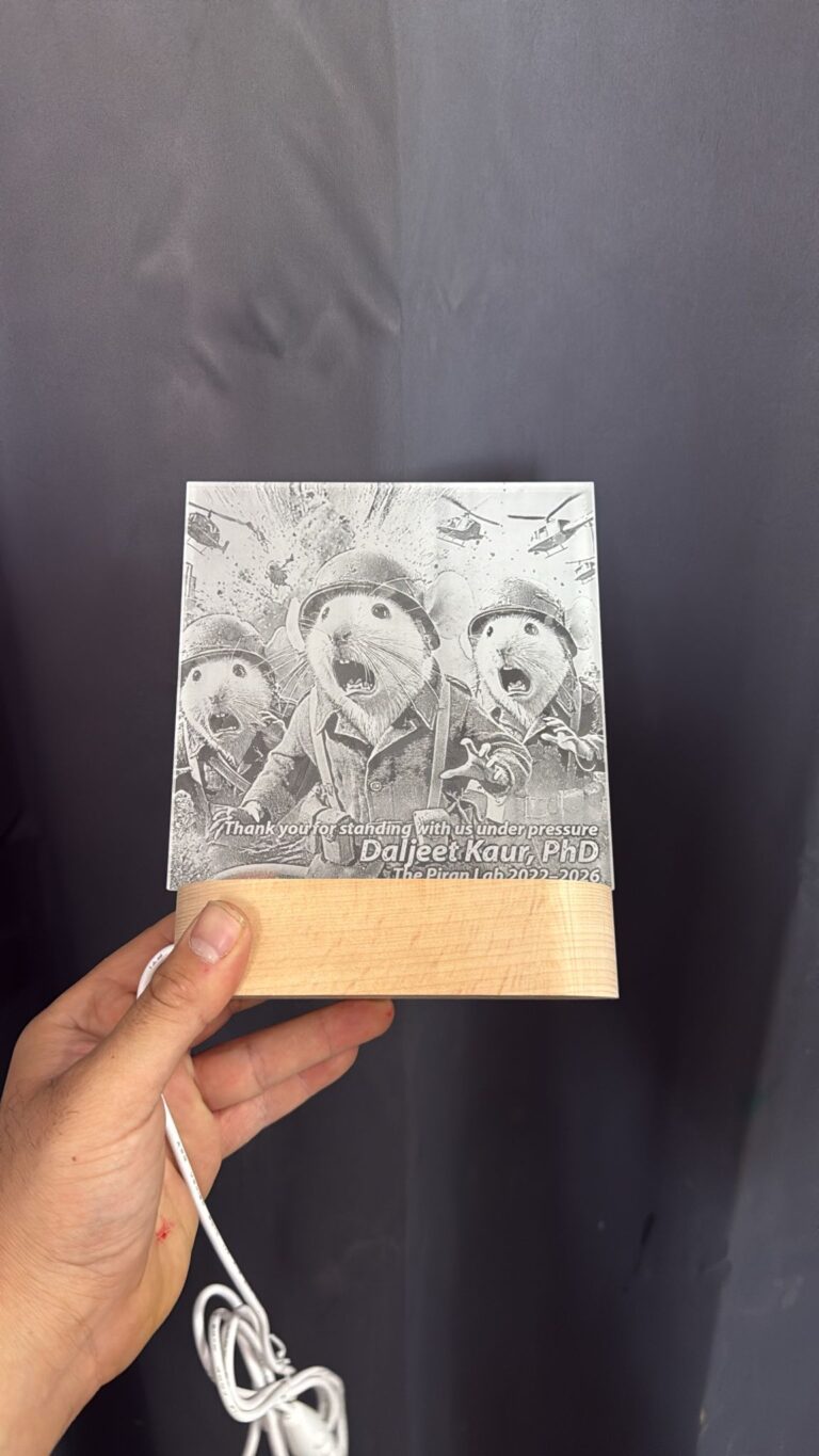 חריטה של איור חולדות חיילים על מנורת לילה מסגרת לד בסיס עץ Daljeet Kaur PhD The Piran Lab