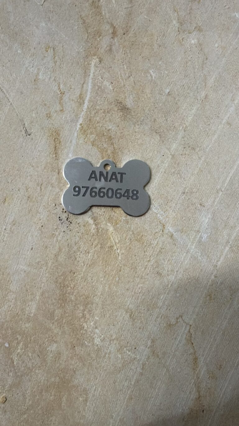 חריטה של שם ומספר טלפון על תג שם לכלב מנירוסטה
