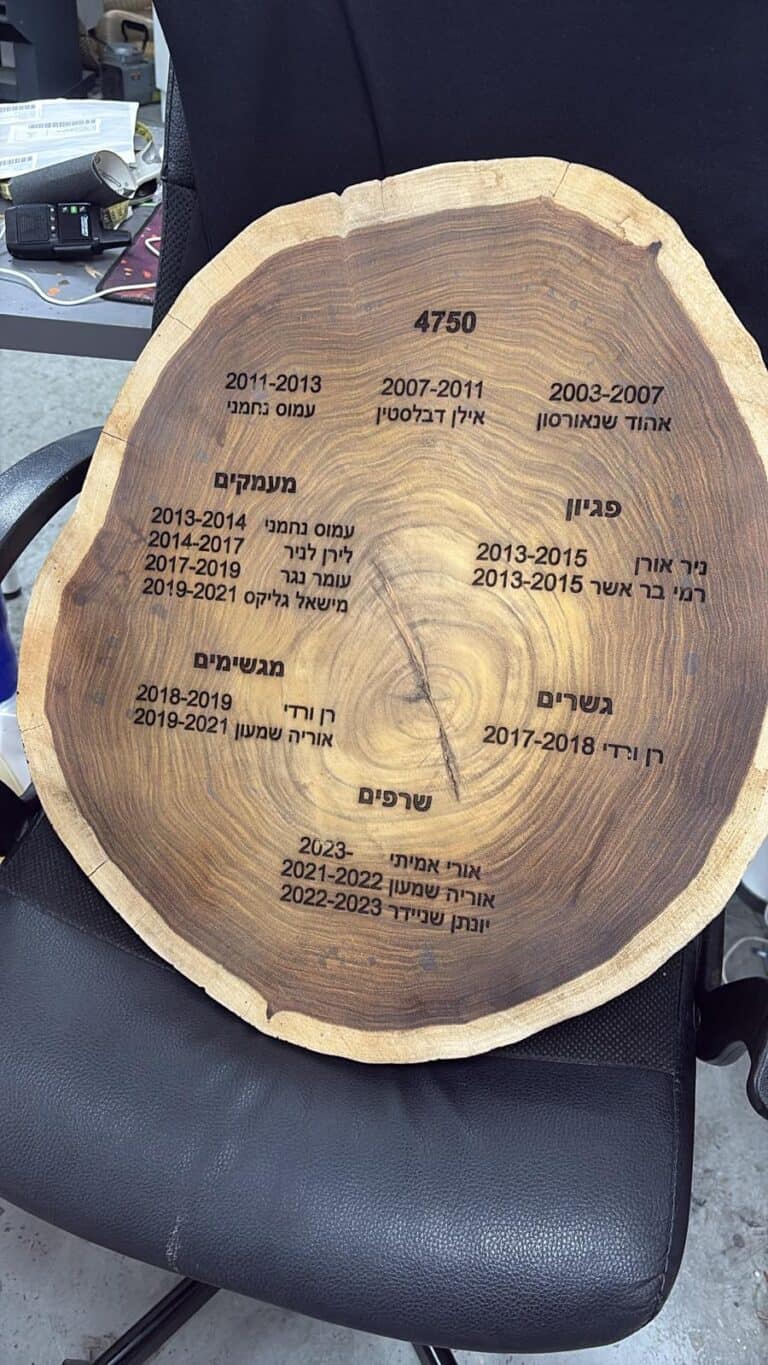 פרוסת גזע ענקית עם חריטה של מלל