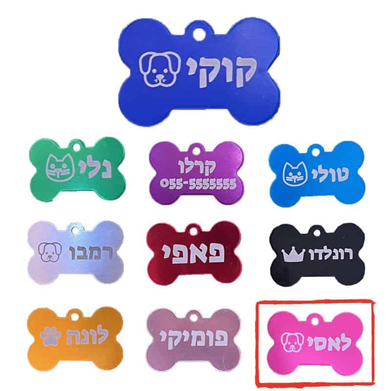 תג שם ורוד מאוד עם חריטה לכלב